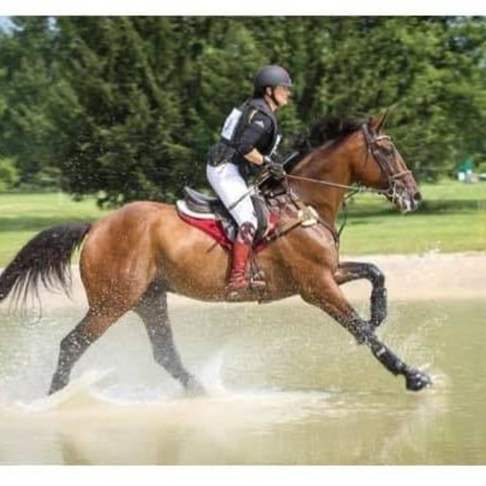 Meet your Posher, Jennifer